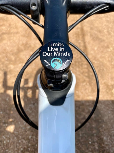 The Limits Stem Cover