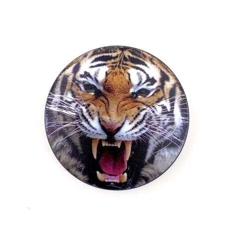 The Tiger Stem Cover
